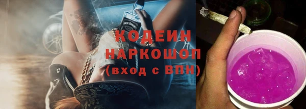 хмурый Богородск