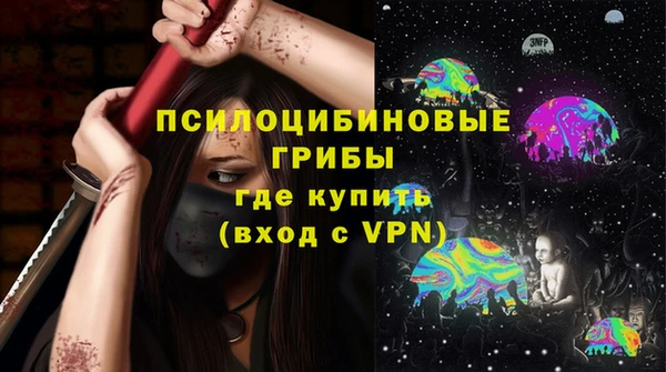 мдпв Белокуриха
