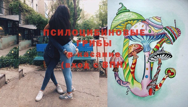 мдпв Белокуриха