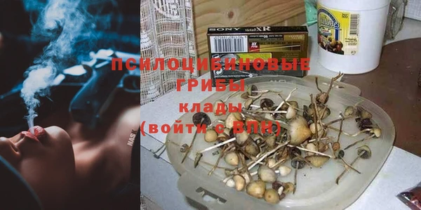 мдпв Белокуриха