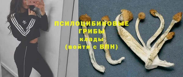прущие крисы Богданович