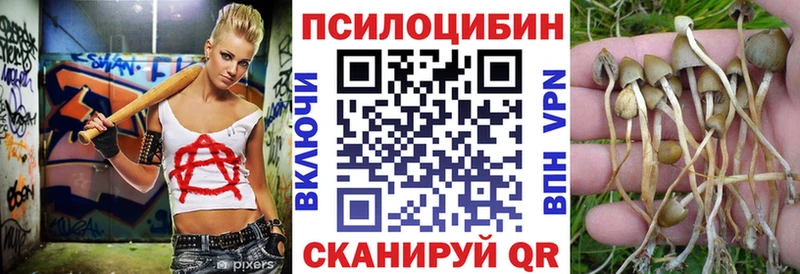 Псилоцибиновые грибы Psilocybe  как найти   Верхний Уфалей 